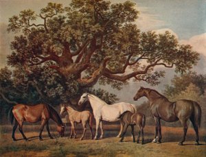 Éguas de ninhada e potros, final do século XVIII, 1922