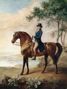 Warren Hastings Esq. no seu cavalo árabe, depois de uma pintura de George Stubbs