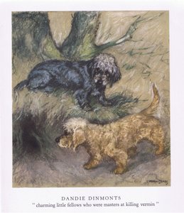 Dandie Dimonts (litografia a cores)