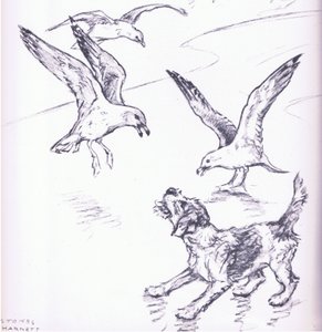Rosie afasta as gaivotas, de Mudlarks publicado por Collins de George Vernon Stokes