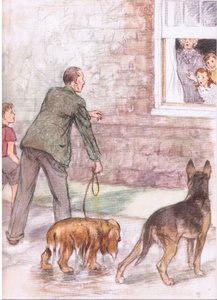 Os spaniels estavam a pingar lama e lodo, de Pets Limited publicado por Collins de George Vernon Stokes