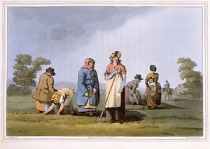Lowkers, gravado por Robert Havell, o Velho, publicado em 1814 por Robinson and Son, Leeds