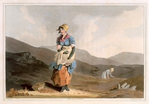The Cranberry Girl, gravado por Robert Havell, o Velho, publicado em 1814 por Robinson and Son, Leeds