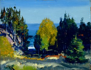 O Grove - Monhegan, 1911 de George Wesley Bellows