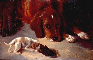 Um Cachorro Inquisitivo (tábua)
