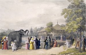 A Casa do Elefante no Jardim Zoológico, Regent&39;s Park, gravado e pub. pelo artista, impresso por Charles Hullmandel (1789-1850), 1835
