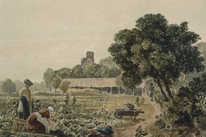 Market Garden no Chelsea de George the Younger Barret