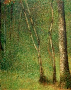 Mato em Pontaubert (Wald em Pontaubert) de Georges Seurat
