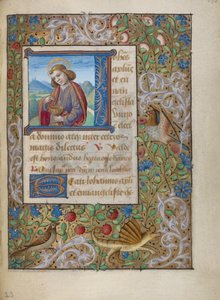 Inicial J: São João Evangelista
