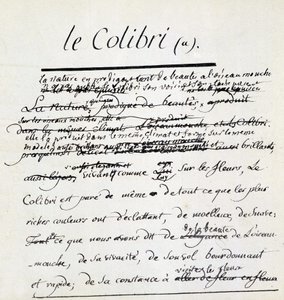 Manuscrito do beija-flor no Hummingbird. Sd. Século XVIII