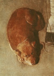 O jogador Hurdy Gurdy com seu cachorro, c.1620 (detalhe) (ver também 67918) de Georges de La Tour