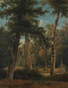 Uma floresta em Fontainebleau de Georgius Jacobus Johannes van Os