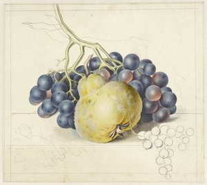 Natureza morta com uvas e uma pêra