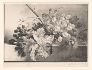 Natureza morta com uvas e castanhas de Georgius Jacobus Johannes van Os
