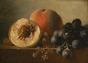 Frutos de Georgius Jacobus Johannes van Os