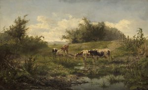 Vacas numa lagoa