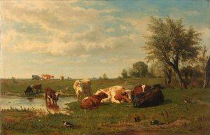 Vacas no Prado
