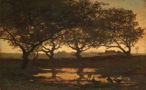 Lagoa da floresta ao pôr do sol Lagoa na floresta ao pôr do sol