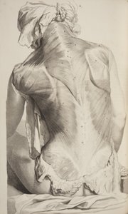 Anatomia do corpo humano por Govard Bidloo, 1685