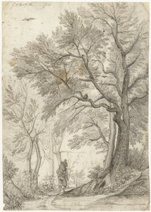 Floresta da Villa Madama fora de Roma