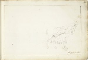 Cavalo, à direita de Gerard ter Borch (II) (signed by artist)