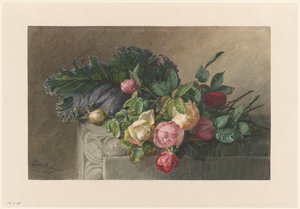 Natureza morta com rosas e folha de couve