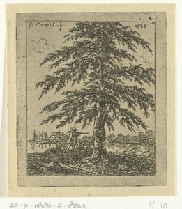 Paisagem com faia e caçador A bétula