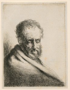 Velho com barba de Gerbrand van den Eeckhout