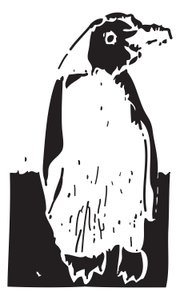 Pinguim de Gerhardt Isringhaus