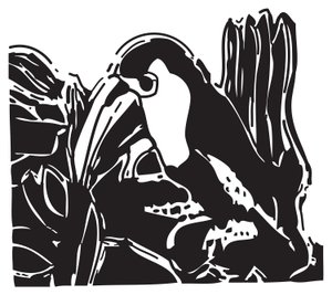 Toucan de Gerhardt Isringhaus