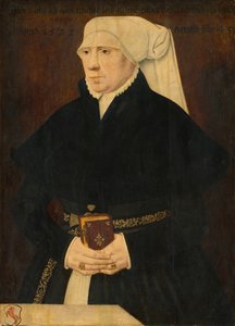 Retrato de uma senhora de German 16th Century