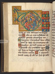 Adicionar. 60629, f.43v Grandes iniciais emolduradas em ouro e cores com ornamentos foliáceos e às vezes zoomórficos e antropomórficos (velino) de German School