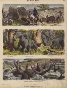 África (gravura colorida) de German School