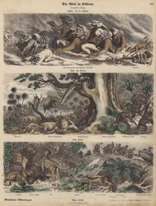 África: uma caravana apanhada numa tempestade de areia no Saara; a costa da Guiné; África do Sul (gravura colorida) de German School
