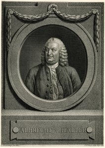 Albert von Haller de German School