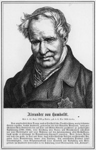 Alexander von Humboldt (gravura) de German School