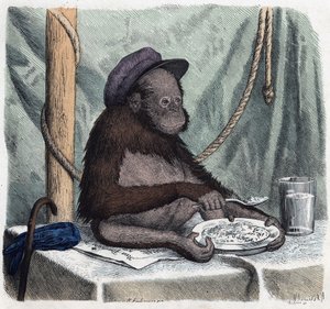 Um orangotango educado (orangotango, orangotango, orangotango, orangotango) come arroz com uma colher. Em "Wenn Jemand eine Reise thut, so kann erzahlen" (Quando alguém viaja, isto é o que ele pode dizer), conto alemão de Franz Wiedemann de German School
