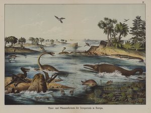 Animais e plantas do Período Jurássico na Europa (cor litho) de German School