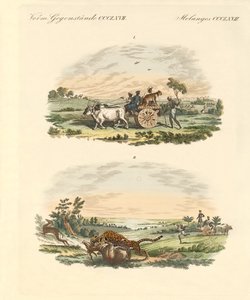 Caça aos antílopes com leopardos (gravura colorida) de German School