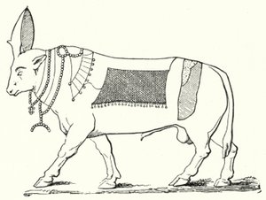 Apis, touro sagrado do Antigo Egipto (gravura) de German School