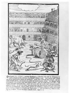 Bull and bear Baiting de German School