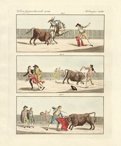 Touradas do espanhol (gravura colorida) de German School