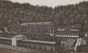 Cafe Pupp (litho) de German School