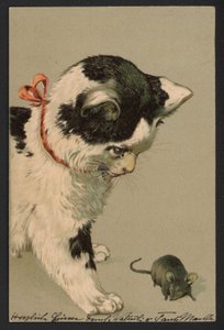 Gato a brincar com um rato (litografia a cores) de German School