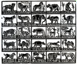 Coleção de animais de German School