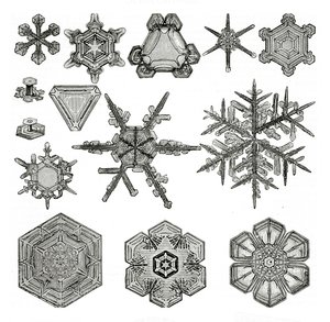 Diferentes formas de flocos de neve de German School