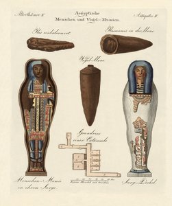 Múmias egípcias de German School