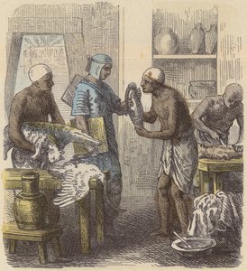 Embalsamamento de animais no Antigo Egipto (gravura colorida) de German School