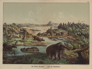 Animais europeus do período terciário (cor litho) de German School