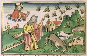 Êxodo 8 20-32 As Sete Pragas do Egipto: Moisés e o enxame de moscas, da "Bíblia de Nuremberga (Biblia Sacra Germanaica)" (xilogravura colorida) de German School